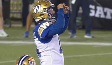 CFL: Blue Bombers 14, Tiger-Cats 13 – TSN