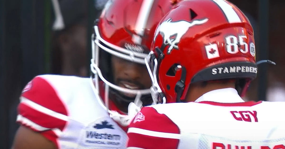 Adams Jr. drops it into a bucket for a Brissett TD – TSN