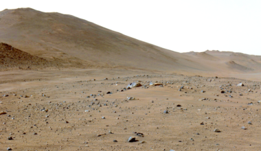 A martian rock has lots of carbon on it, and it's not clear why