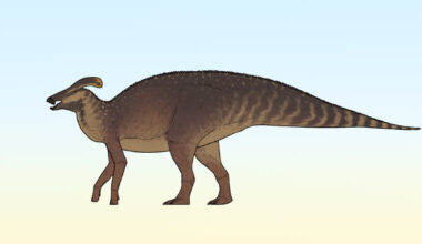 New Crested Dinosaur Species Identified in Canada