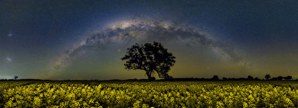 Photo editor’s pick, nightscapes category: 4 Galaxies Panorama, Peter Abery,  David Malin Awards 2025 