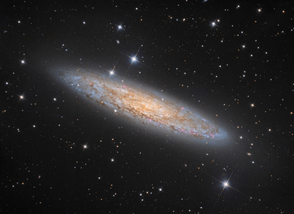 "Another Day, Another Dollar", Paul Montague, Honorable Mention, Deep Sky Category, David Malin Awards 2026