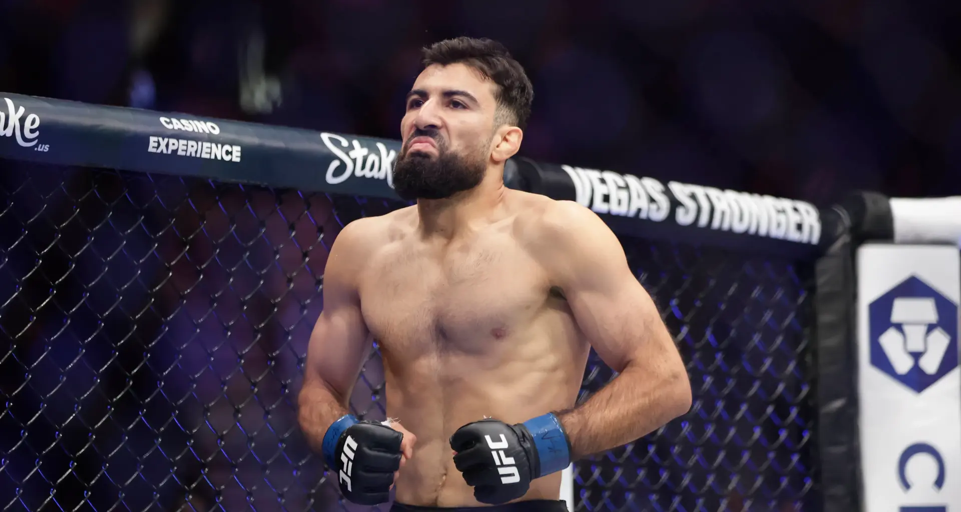 MMA Cage