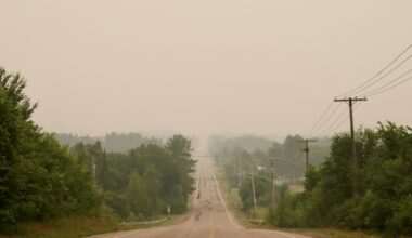 Small number of patients brought to hospital due to wildfire smoke