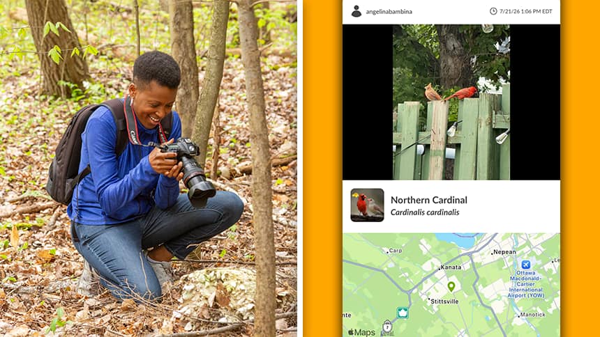 Left, a teen looks at the screen on his camera. Right, a screenshot of a northern cardinal from the iNaturalist app.