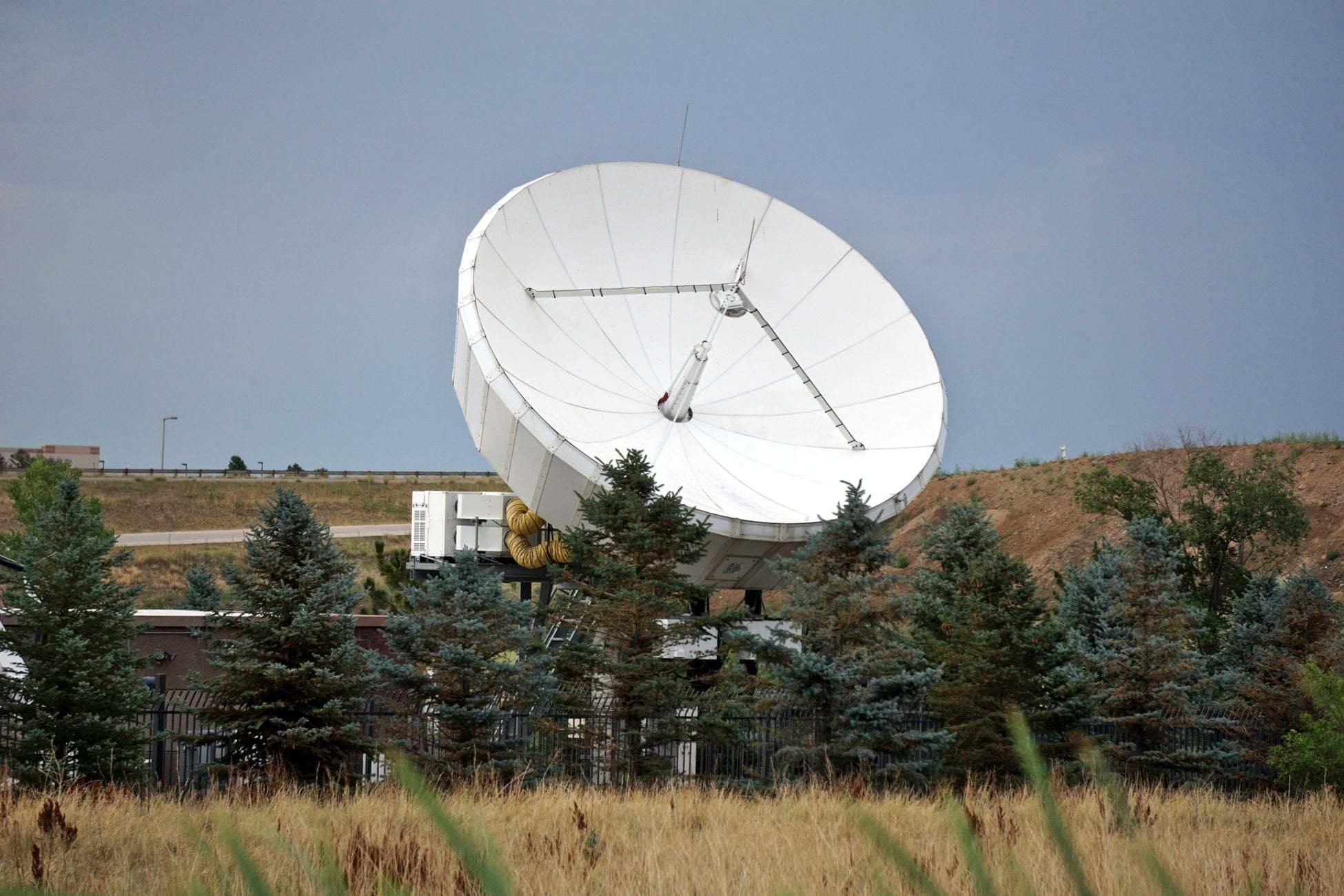 Wide shot of a satellite dish against a clear sky, surrounded by trees and grass.