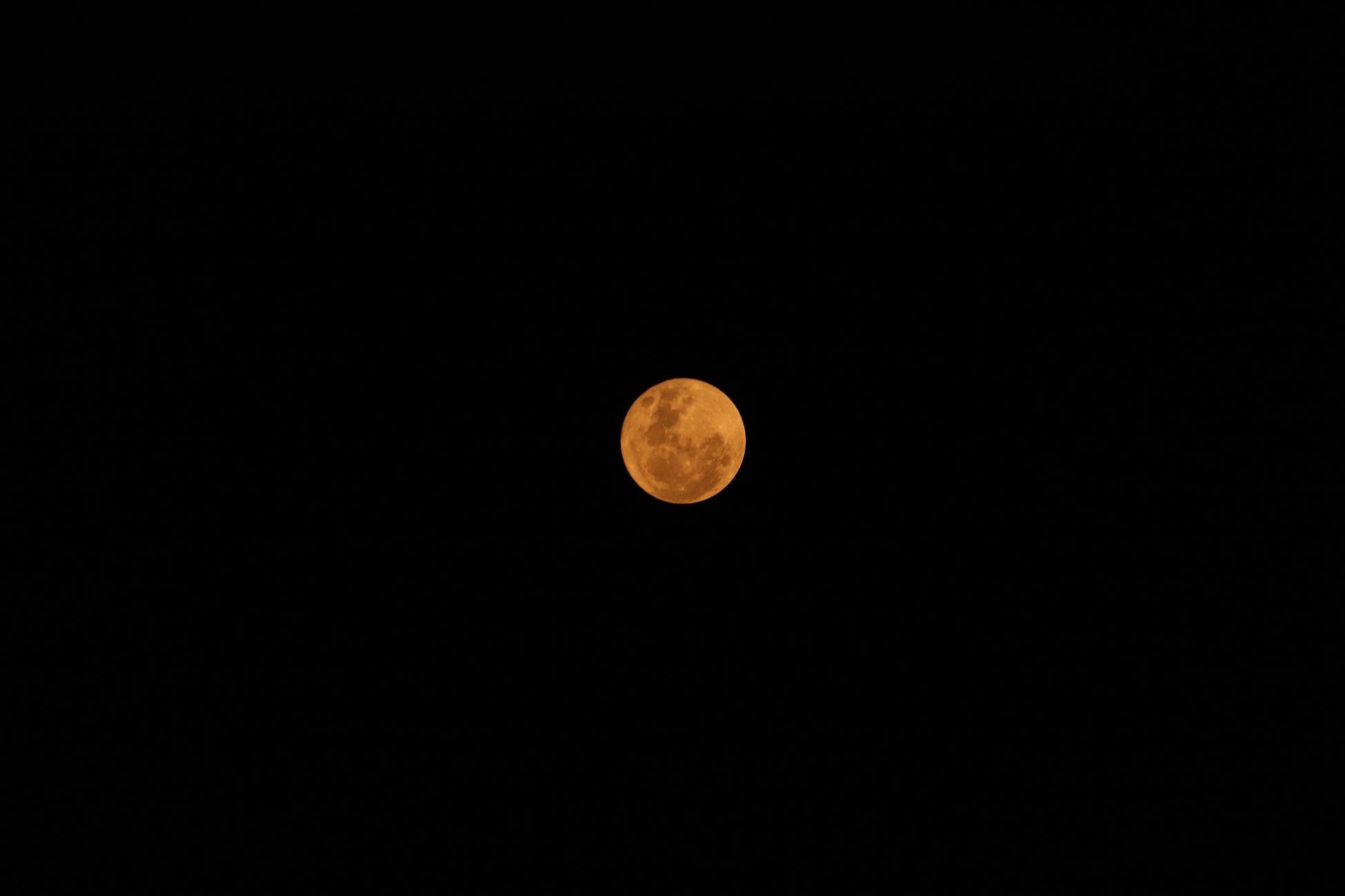 Detailed shot of a bright orange full moon against a stark black night sky, offering a serene celestial view.