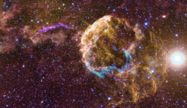 Jellyfish Nebula was part of a binary star system, and both went supernova