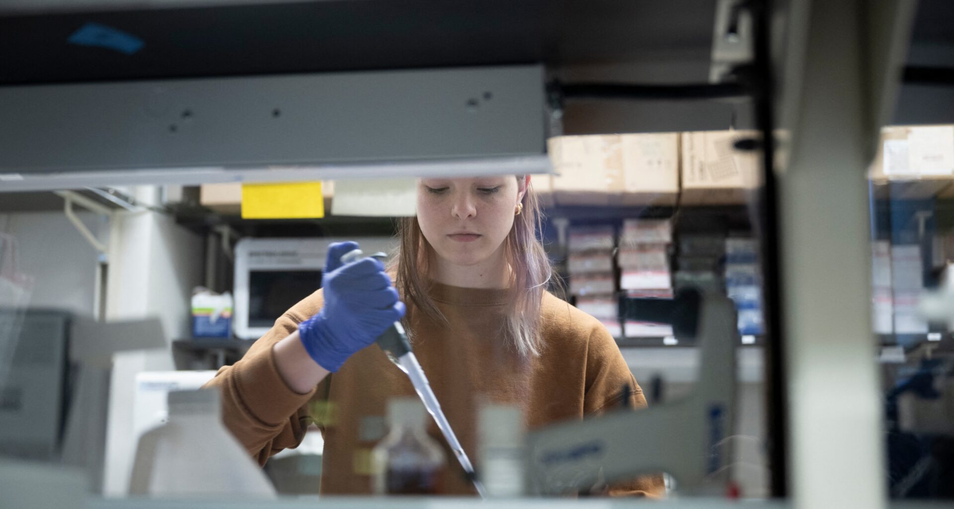 Julia Ball pulls DNA RNA rhesus monkey