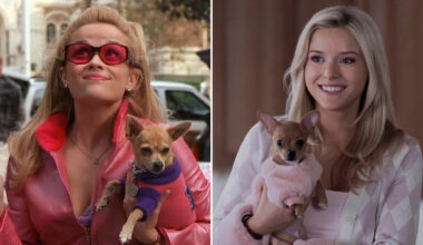 Every Legally Blonde Easter Egg And Reference In Elle Season 1