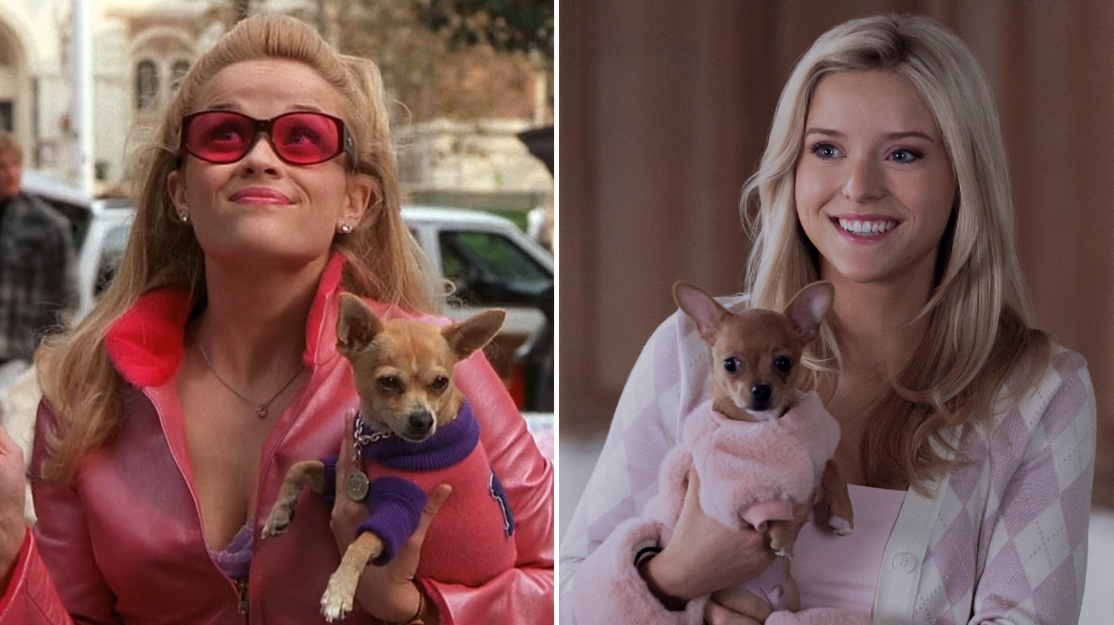 Every Legally Blonde Easter Egg And Reference In Elle Season 1