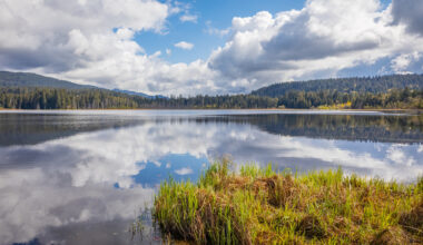 An Hour From Vancouver, This Forest-Filled Park Is The Perfect Spot For Camping, Swimming, And Lake Fun