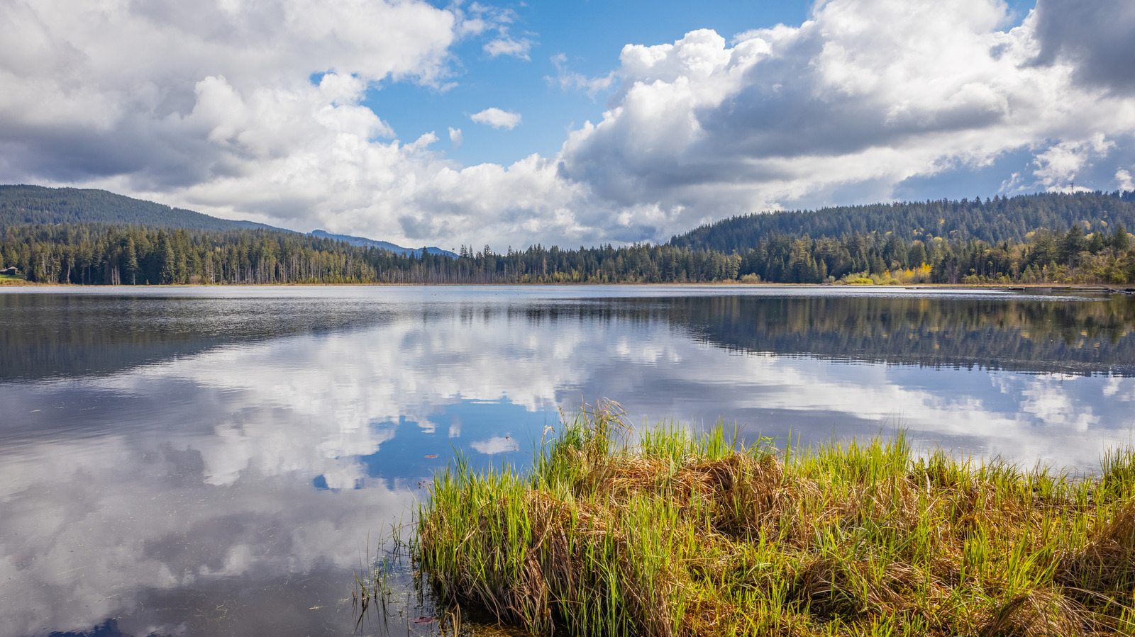 An Hour From Vancouver, This Forest-Filled Park Is The Perfect Spot For Camping, Swimming, And Lake Fun