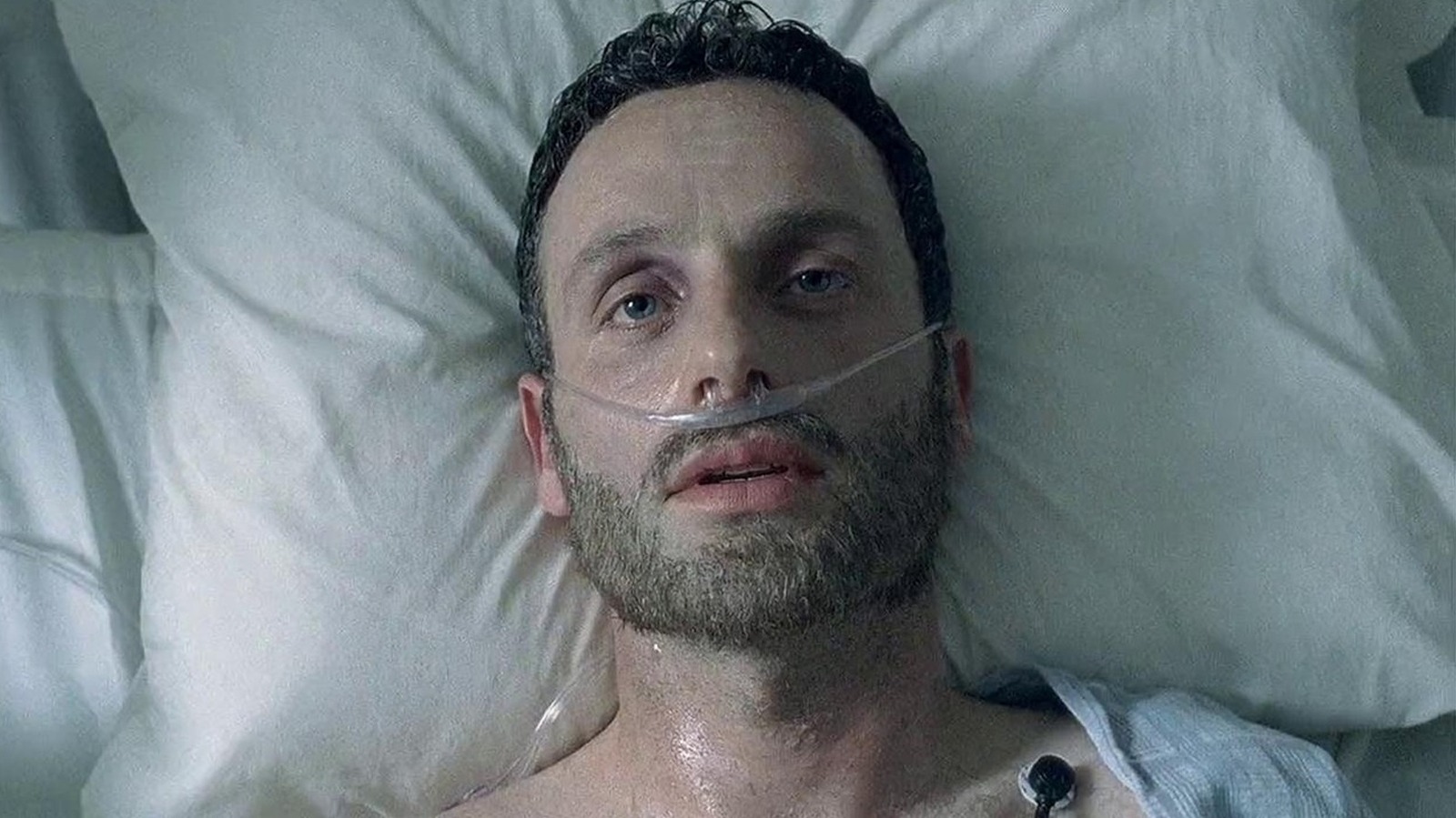 15 Best TV Shows Like The Walking Dead