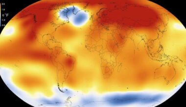 Europe's record heatwave linked to mysterious ‘cold blob' in Atlantic