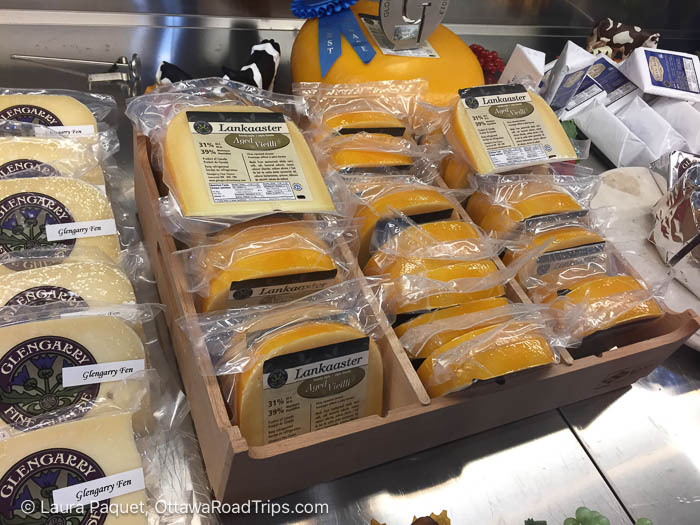 blocks of cheese in a cooler