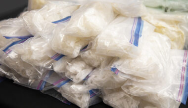 largest meth bust halton