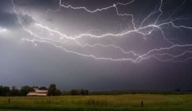 PHOTOS: Major overnight storm across Quinte region, southern Ontario
