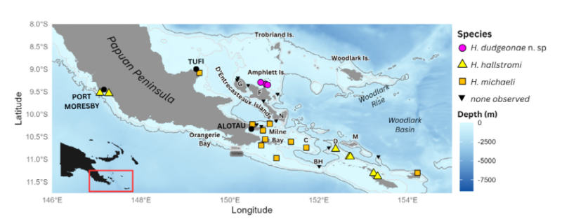 Map of the Papuan Peninsula and the islands around. The location of the shark species marked in a small area.