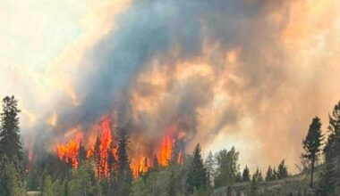 Crews continue to battle 152-hectare wildfire beside Logan Lake