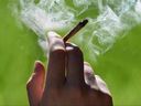Marijuana