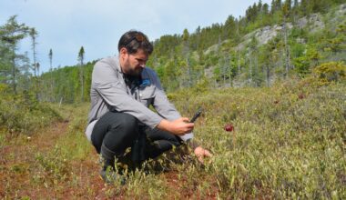 Saint-Simon-de-Rimouski peatland that shelters rare species is now protected