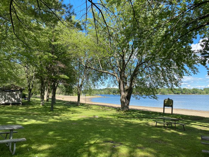 sandy beach beside lawn with picnic tables and large trees