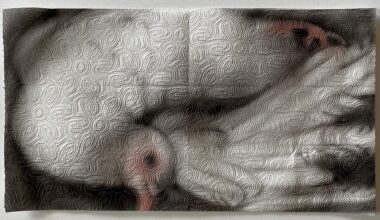 a painting of a contorted white dove on two sheets of paper towel