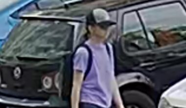 Missing persons: North Van RCMP release image