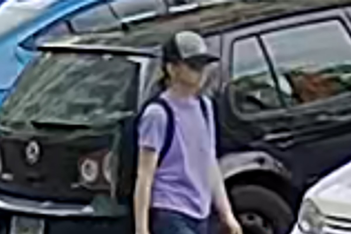Missing persons: North Van RCMP release image
