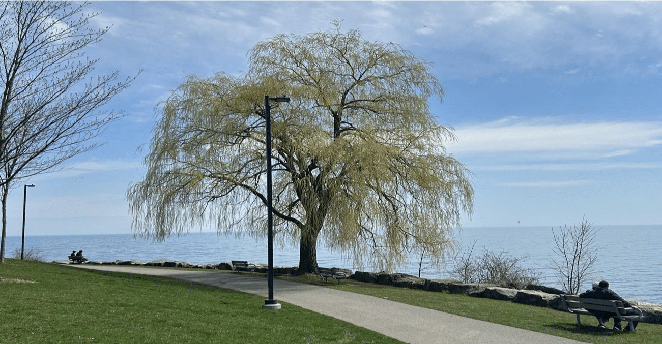 Mississauga exceeds energy reduction targets, expands clean infrastructure goals