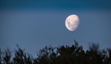 July offers dark skies, planets and meteor showers for Saskatchewan skywatchers - DiscoverMooseJaw.com