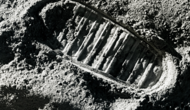 The footprints left by Apollo astronauts on the lunar surface will remain there, undisturbed, for at least ten million years — there is no wind, no rain, and almost nothing to erase them