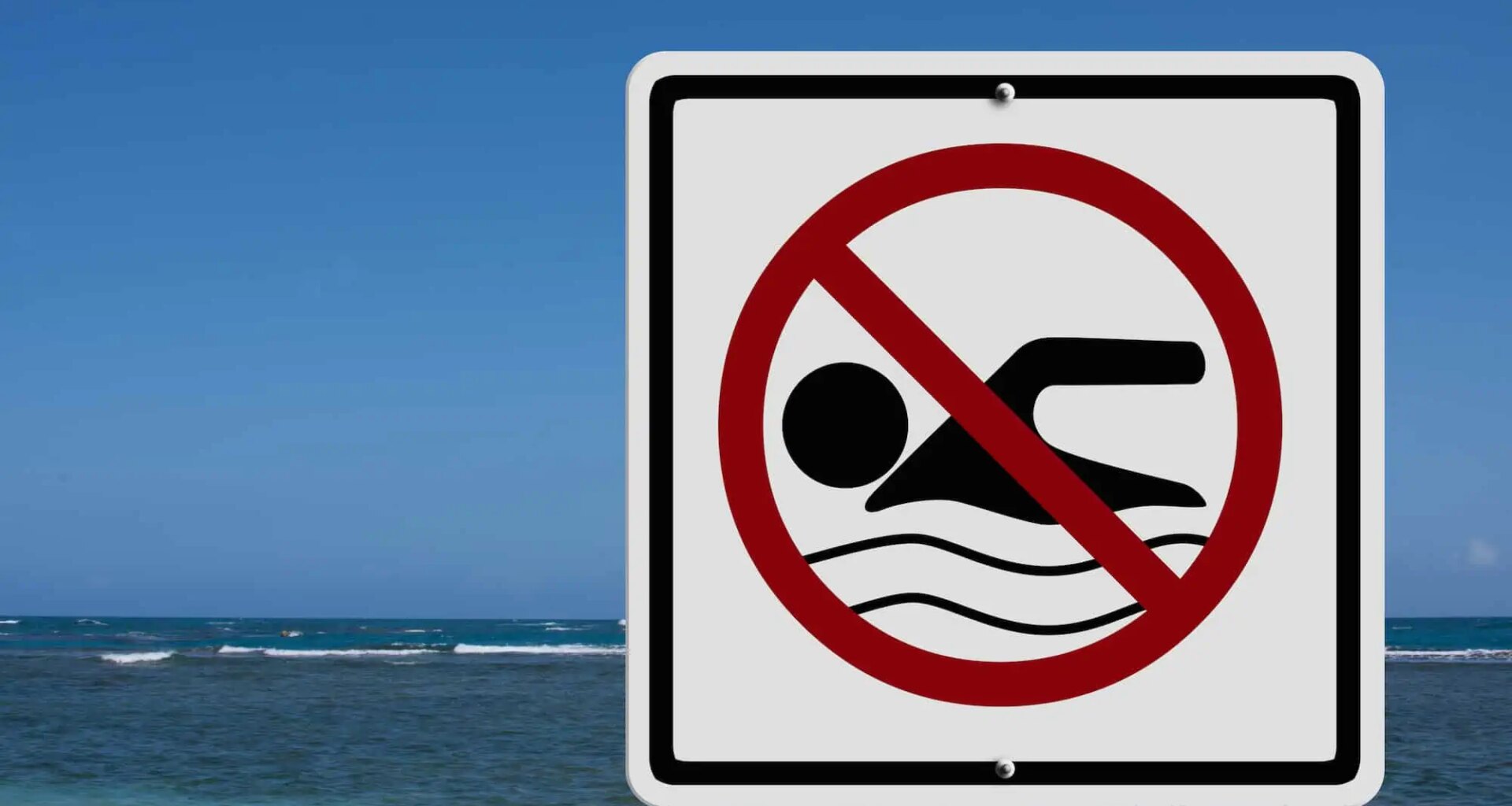 swimming bacteria Brampton beach ontario