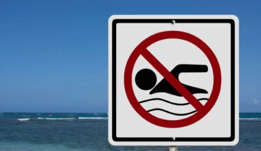 swimming bacteria Brampton beach ontario