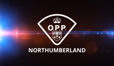 Assault of staff member at Warkworth Institution
