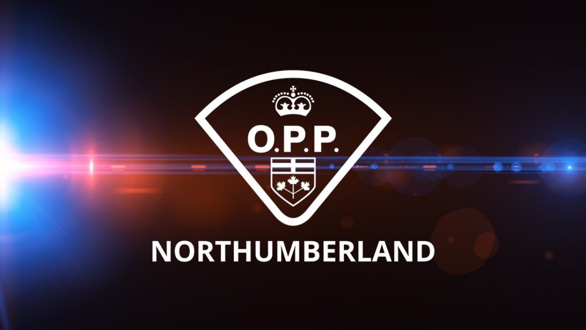 Assault of staff member at Warkworth Institution