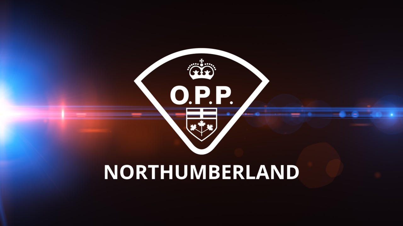 Assault of staff member at Warkworth Institution