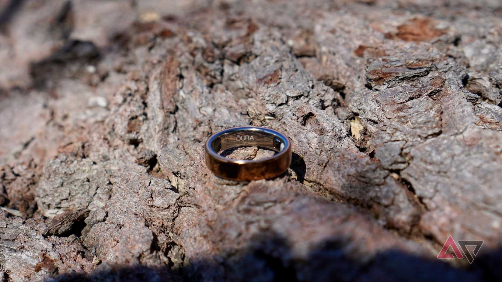 The logo inside the Oura Ring 5