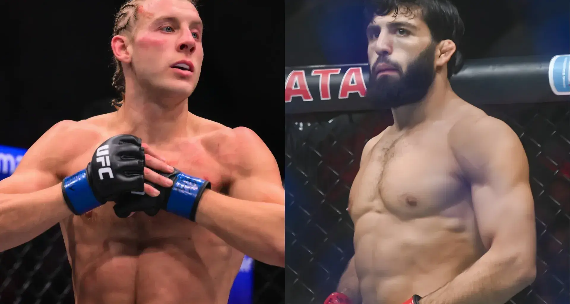 David Feldman has lauded Conor McGregor