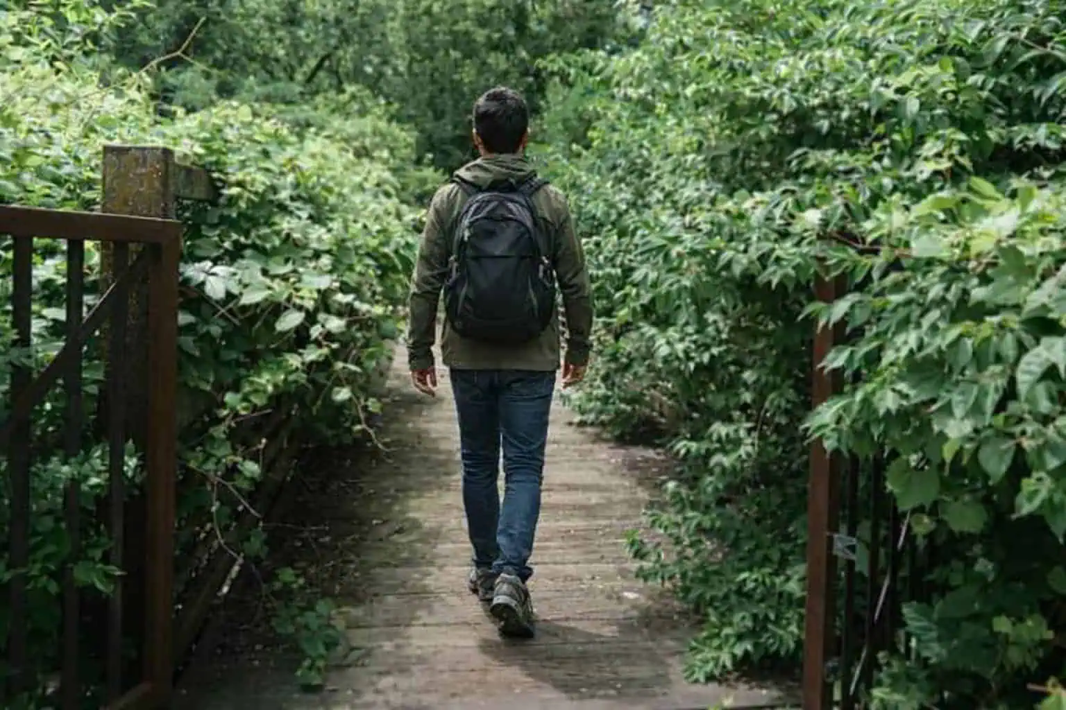 pathway brampton safe catwalk