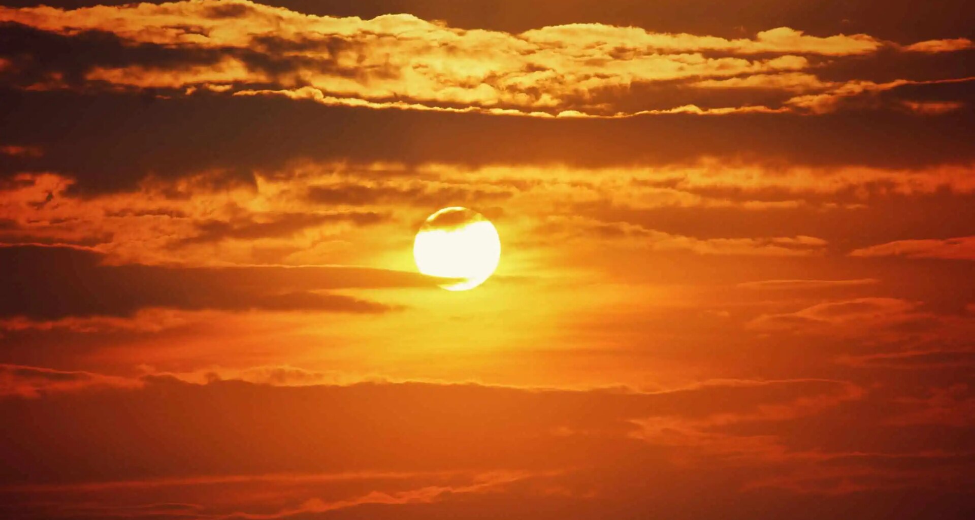Toronto and Ontario hit with dangerous humidex near 45c
