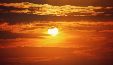 Toronto and Ontario hit with dangerous humidex near 45c