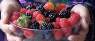 Forget the Supplements and Bring On the Berries | Office for Science and Society