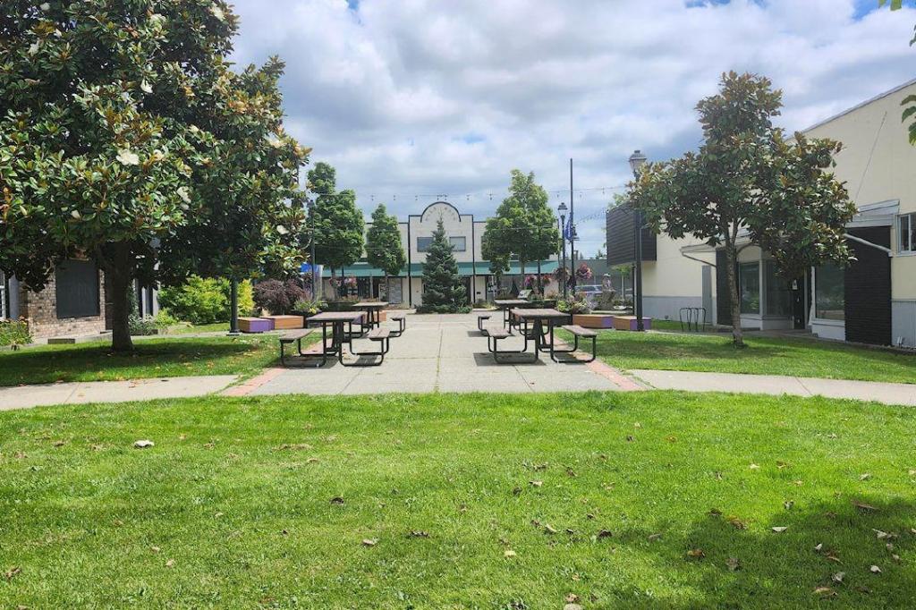 5 places to read a book outside in downtown Cloverdale this summer