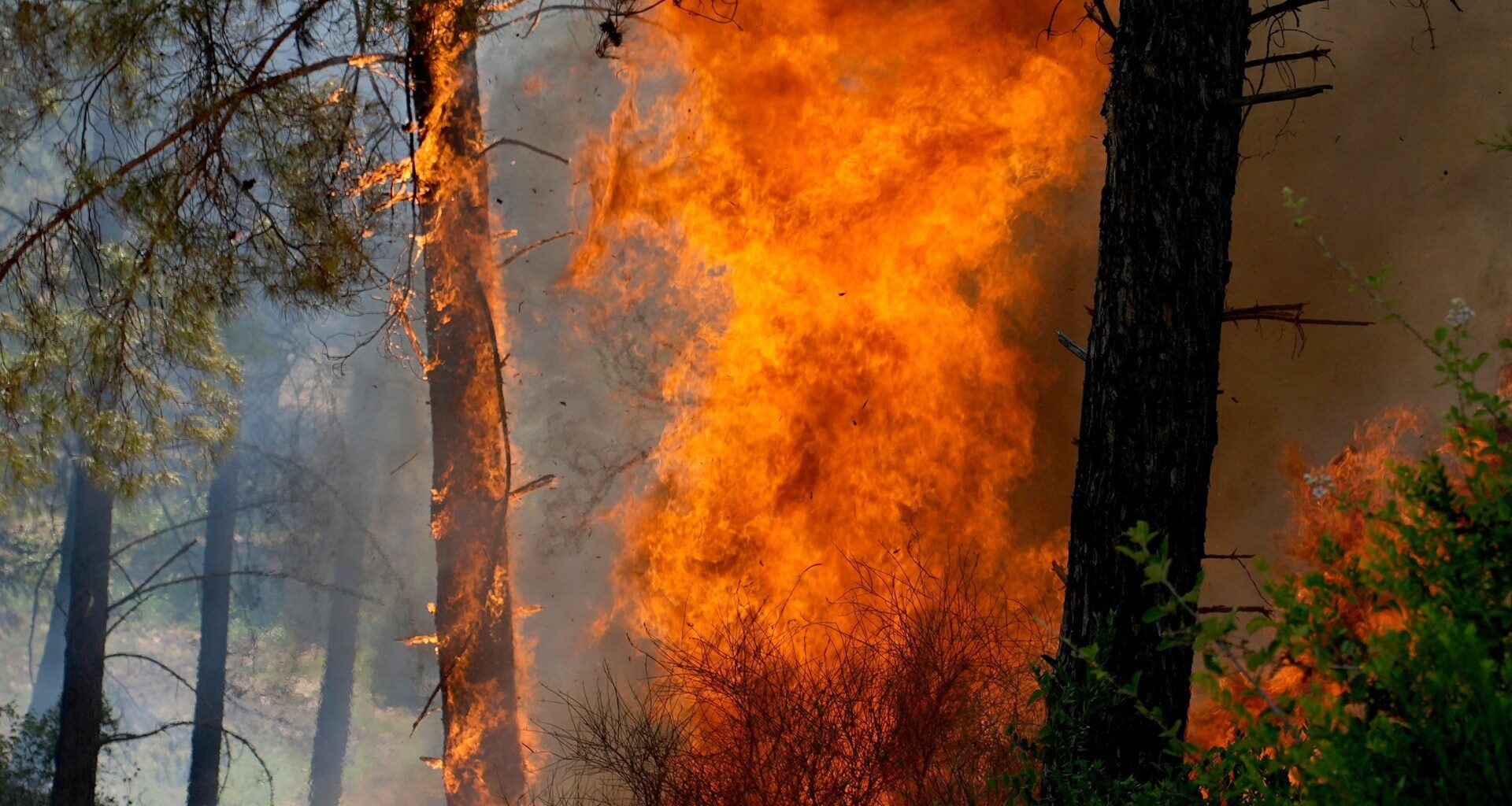Europe’s heating climate sparks ‘major intensification’ of fires: Report | Climate News