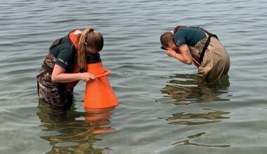 Zebra mussell detected in Parkland region, province's rapid response plan