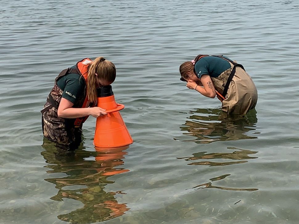Zebra mussell detected in Parkland region, province's rapid response plan