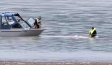 Swift rescue on Fraser River by Chilliwack RCMP members
