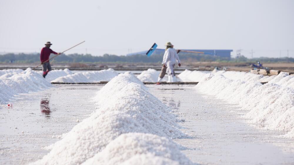 The sodium threshold that triggers a red warning label is 400 milligrams per 100 grams (Photo: Roselynne/Shutterstock) ייצור מלח